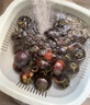 京地达山东黑珍珠小番茄净重3斤 单果8g+ 紫色圣女果源头直发包邮 实拍图