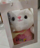 爱尚熊兔子玩偶毛绒玩具小女孩布娃娃女生生日圣诞节礼物儿童送女友公仔 实拍图