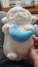 名创优品（MINISO）羊咩咩系列甜睡小羊公仔毛绒玩具玩偶公仔娃娃生日礼物女 月亮款 实拍图