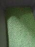 洁客（Drymax）豆腐砂植物环保结团除臭猫砂绿茶2.72kg*6包共16.32kg 实拍图