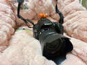 佳能（Canon）200D II 二代数码单反相机2410万像素入门级4K视频旅游vlog学生 200D II+18-55mm标准防抖镜头 套餐一 64G内存卡+相机包+读卡器 实拍图