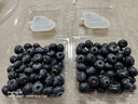 怡颗莓Driscoll's当季新鲜云南蓝莓14mm+ 2盒装 约125g/盒 京东超市水果 实拍图