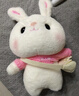 爱尚熊兔子玩偶毛绒玩具小女孩布娃娃儿童女生生日礼物女陪睡觉抱枕公仔 实拍图