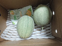 京鲜生 海南哈密瓜 西州蜜/西周蜜 2粒 5-7斤 单果2.5斤起 生鲜水果礼盒 实拍图