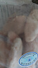 CP正大食品白羽鸡翅根2斤 生鲜冷冻 鸡肉烤鸡翅鸡肉 腌制鸡肉 实拍图