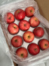 京鲜生 栖霞红富士苹果 净重6.4斤 单果230g+ 水果礼盒 实拍图