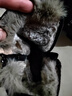 达芙妮雪地靴女冬季加绒加厚保暖短靴东北大棉鞋子 4023608085 黑色 37  实拍图
