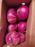 山东特产水果扁洋葱甜瓜口感红皮扁葱头生吃脆甜蘸酱好吃粉嫩 紫皮洋葱大果带箱 4斤 精选 实拍图