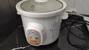 龍興發全自动家用电炖锅白瓷熬煮粥锅煲粥煨汤锅养生煲汤陶瓷电砂锅隔水炖盅迷你电炖盅低功率精炖好滋味 实拍图