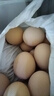 忆乡岭鸡蛋 散养谷物蛋 农家山林喂养 初生鲜土鸡蛋 16枚活动款640g 实拍图