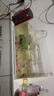 森森 超白玻璃小鱼缸HWK-600P裸缸款水草缸金鱼缸小型水族箱水草缸  实拍图