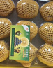 佳沛（zespri）新西兰  阳光金奇异果10粒礼盒巨大果单果约144-175g 水果 猕猴桃 晒单实拍图