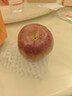 味果生甘肃天水花牛苹果应季新鲜水果刮泥粉面宝宝辅食蛇苹果整箱送礼 3斤中果【70-75mm】 实拍图