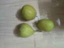 京鲜生新疆库尔勒香梨3斤装 全母梨 单果100-120g 源头直发 包邮 实拍图