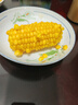 京鲜生东北黄玉米棒200g×8棒25年新玉米 真空黏玉米 多种包装 源头直发 实拍图