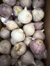 云南紫皮独头蒜干蒜果经3.0mm+ 大果直径3.0左右（3斤） 实拍图