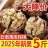 云南今年新货野生老树核桃纸皮薄皮孕妇黑桃薄壳干黑桃零食无漂 云南新货薄皮核桃2斤-老品种大果 实拍图