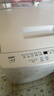 Haier海尔波轮洗衣机全自动8/10公斤大神童大容量租房家用神器升级除菌除螨洗柔护内筒以旧换新补贴统帅 【新品】7.2小神童升级一级能效抗菌除螨洗 实拍图