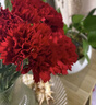 【单头康乃馨】鲜切花多色云南基地直发送妈妈送老婆花七夕节礼物 单头康乃馨红色20枝 实拍图