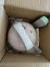 LOTOR电热饭盒自热插电保温热饭器蒸饭器上班族带饭神器办公室蒸煮可加热饭盒 1.45L 粉色餐具款 实拍图