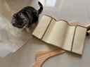 华元宠具（hoopet）剑麻猫抓板窝躺椅猫咪耐磨不掉屑耐抓超大号高端实木猫爪板垫柱盆 实拍图