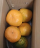 兀果语2025年云南密桔酸桔子当季薄皮橘子孕妇新鲜水果爆汁无核青 2斤 实拍图