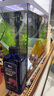 YEE硝化细菌鱼缸净水剂养鱼水质稳定净化水族消毒消化活菌650ml  实拍图