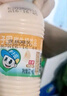 李子园【成毅代言】甜牛奶乳饮料哈密瓜味225ml*20瓶儿童早餐奶送礼黑五 实拍图