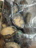 黄小渔冷冻鲍鱼净重160g(11-16粒)袋装 带壳火锅食材 烧烤贝类年货送礼 实拍图