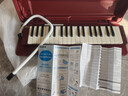 雅马哈（YAMAHA）口风琴键盘初学专业演奏P-37D棕红色37键【学生适用 老师推荐】 实拍图