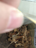 特色烤鱼肉鳕鱼肉鱼骨童年记忆零食模拟红烧蟹肉烤鱼片山东即食网红鱼干特产干货熟食 鳕鱼肉有刺款500g*1袋 实拍图