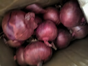 京鲜生云南紫皮洋葱 净重9斤 带皮洋葱头 新鲜蔬菜 紫皮大圆葱 源头直发 实拍图