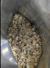 世壮中国农科院五红燕麦片400g*4混合冲饮谷物年货代餐红豆红米红枣 实拍图