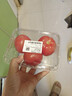 番茄约500g 实拍图