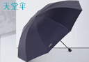 天堂 双人雨伞三折 雨伞加大加固三折晴雨伞全钢十骨大伞 岩石蓝 实拍图