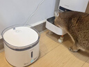 霍曼（Homerun）三代智能宠物饮水机 无线水泵自动循环流动水猫咪狗狗喂水器 实拍图