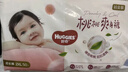 好奇（Huggies）铂金装小桃裤拉拉裤超薄婴儿尿不湿幼儿成长裤 L 2包 76片 【9-14kg】拉拉裤 实拍图