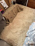 羽璐毛绒地毯卧室床边毯加厚榻榻米垫冬天房间毛毯坐垫防滑可定制地垫 浅驼色 160*60cm 实拍图