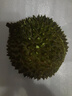 趣尝鲜猫山王榴莲马来西亚D197液氮冷冻净重3.0-3.5斤/个 实拍图