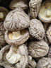 金唐香菇500g 厚干大香菇3.5-4cm蘑菇干冬菇山珍菌菇干货做菜年货食材 实拍图