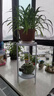 好铁匠 北欧客厅花架ins花架子简约绿萝落地式轻奢多层室内花盆架多肉架 1185白色小号直径25*高50 实拍图