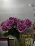云南鲜花批发品质玫瑰百合水养鲜切花送女友水养鲜花源头直发 紫玫瑰-20支（花苞小不定品种） 【任选2件—不收运費】 实拍图