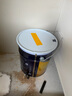 多乐士（Dulux）金装五合一净味内墙乳胶漆白色环保抗菌防霉油漆涂料墙面漆 A8188 18L 大桶【优等品】 实拍图