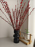 九月生银柳真花30支年宵花干花礼盒新年装饰摆件鲜切室内花卉60cm不含瓶 实拍图