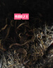 张一元茉莉花茶特级150g(香雪50g*2+香茗50g*1)  浓香四溢礼赠送礼 实拍图