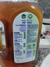 滴露消毒液衣物除菌液洗衣消毒水1.8L杀菌除螨家居衣物除菌甲流H3N2 实拍图