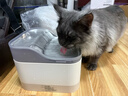 Panasonic松下宠物抑菌饮水机猫咪饮水机自动循环 猫咪喂水机【小笑脸】 实拍图
