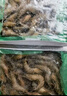 果勋鲜活速冻黑虎虾净重1.4斤30-40只/盒海鲜大虾类高虾青素海鲜水产 实拍图