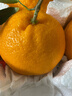 生活＆好管家 四川春见耙耙柑爆浆大果新鲜水果礼盒应季橘子现摘柑橘子桔子 4.5-5斤【超划算】净重4.5斤 果径70-80mm【中果】 实拍图