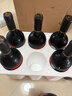 醉鹅娘金狮酒庄 红鸟梅洛750ml*6智利原瓶进口干红葡萄酒整箱送礼礼品 实拍图